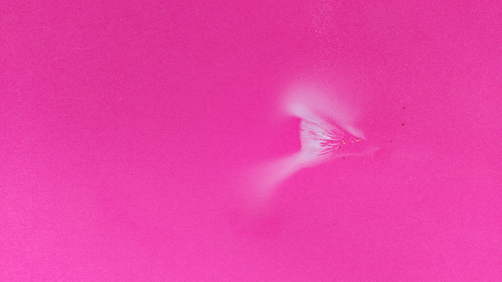 A hot pink grainy image of something natural and abstract.