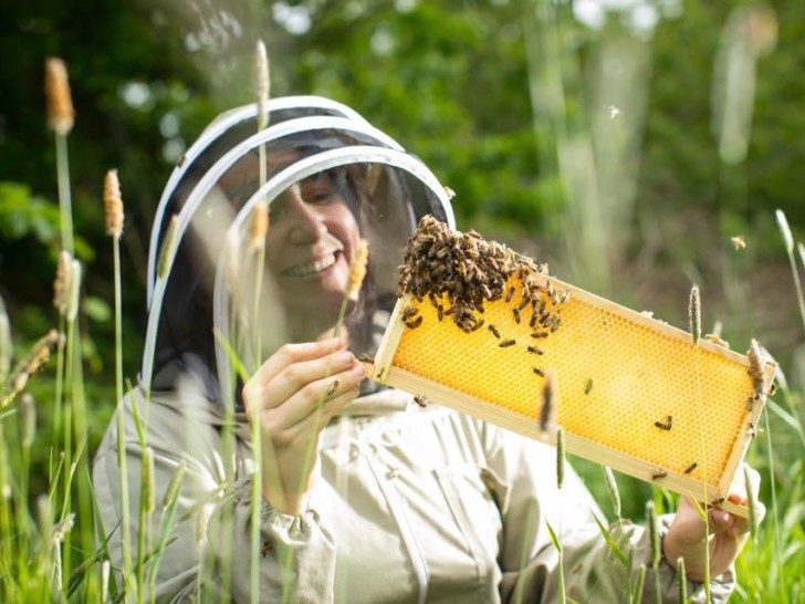 A person with brown hair sits in a field of long grass wearing a beekeeper's suit. They are smiling and looking at a frame of honey with bees swarming on one corner.
