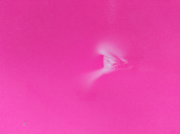 A hot pink grainy image of something natural and abstract.