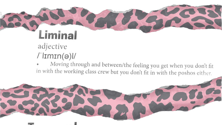 A glossary with definitions of the words: 'Outreach', 'Lower Socioeconomic status', 'Liminal', 'Temporal', 'Innovative'. The definitions are sarcastic and humorously written.