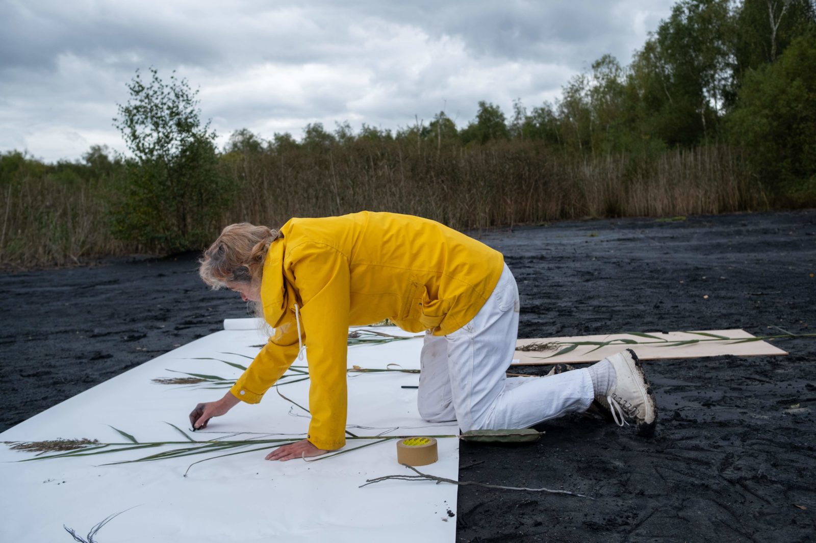 Artist Kerry Morrison is photographed drawing plants on a large white scroll of paper on the ground of a former slag heap in Colliers Moss.