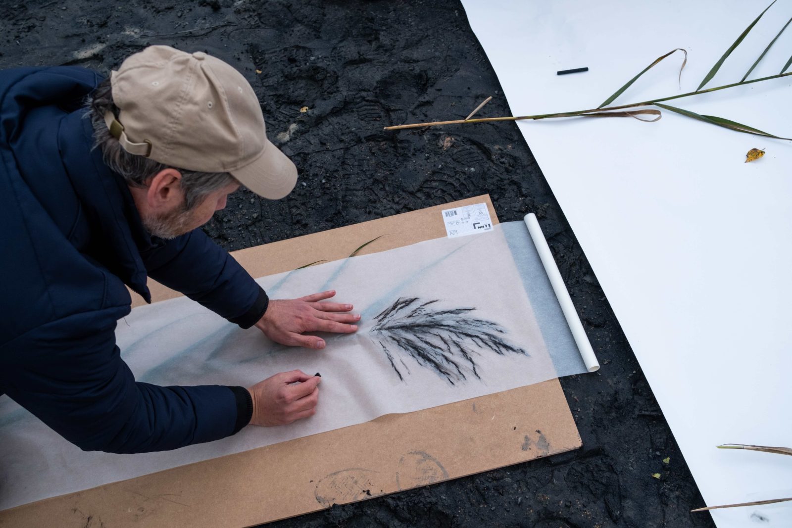 A man is doing a charcoal rubbing of a stalk, leaning on a board. The ground beneath him is a former slag heap, and is soft and black.