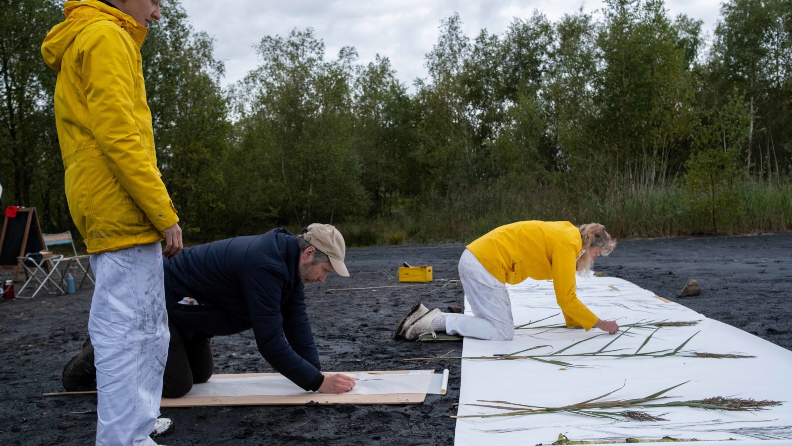 Traces Impressions and Digressions by Kerry Morrison is photographed taking place on the Slag heap at Colliers moss, Kerry is placing stalks on a large roll of paper and a man is doing a charcoal rubbing of of a stalk.