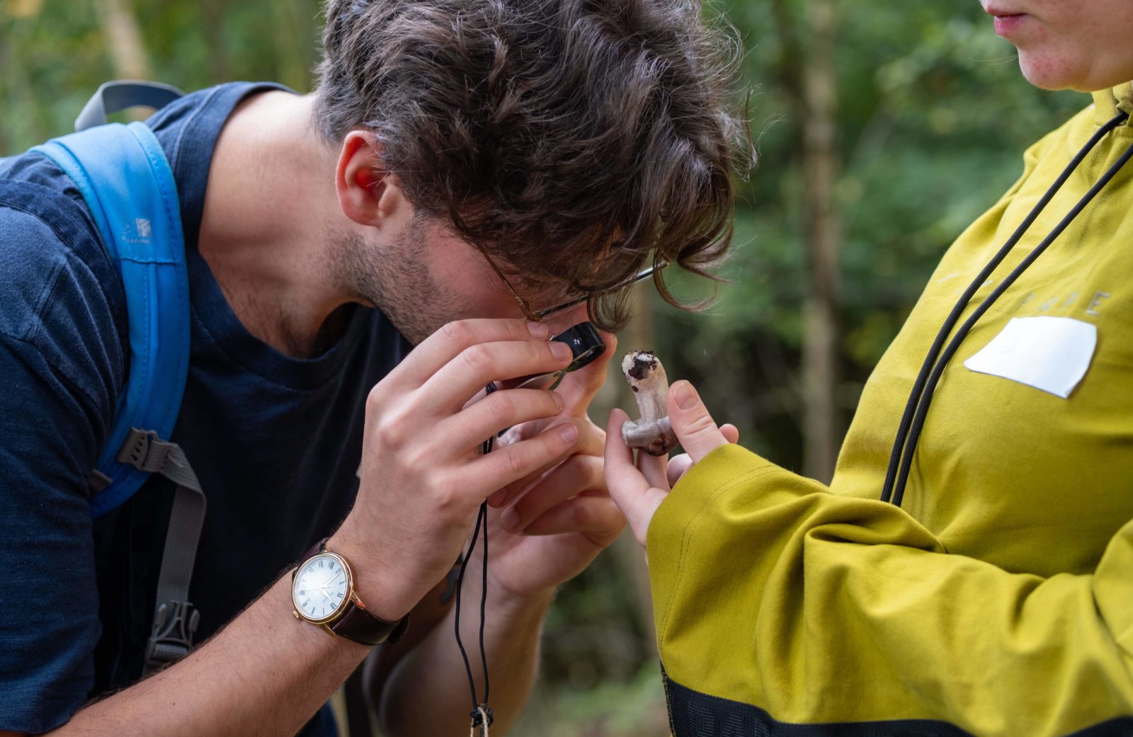 Somebody looks up close at a mushroom with a magnifying glass.