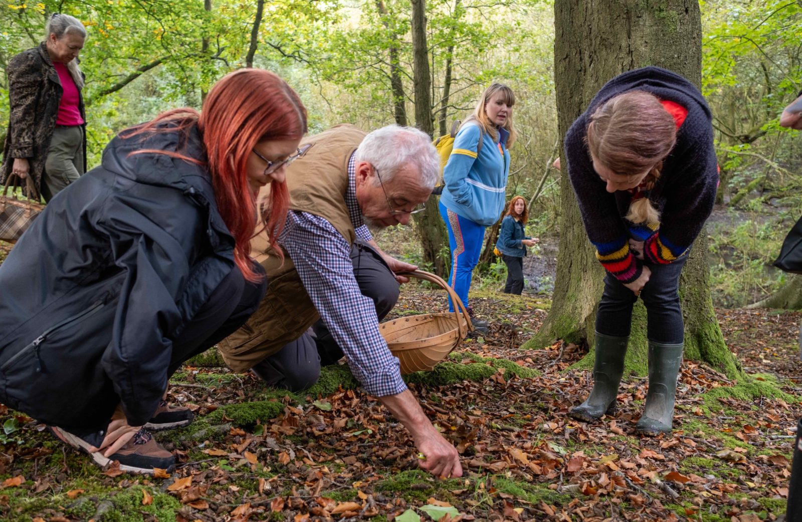 A group of people are wandering through the forest foraging for mushrooms, mushroom expert Tom Ferguson holds a basket in one hand.