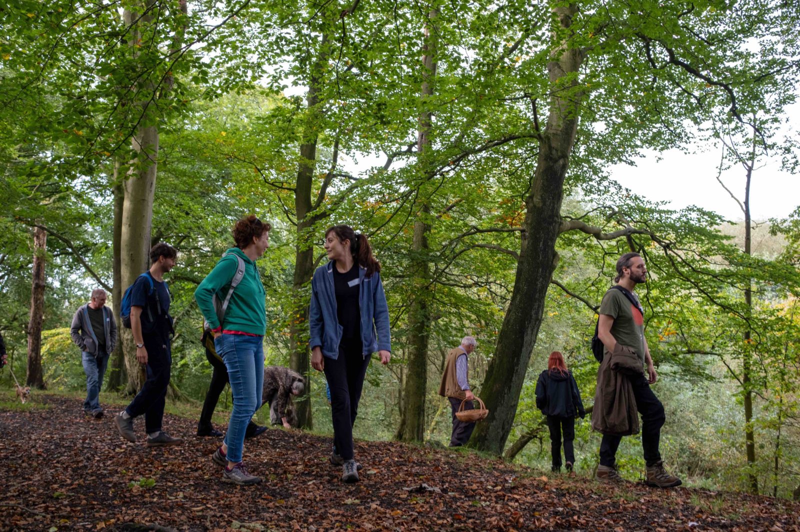 Several people are photographed walking through the woods, it is early autumn and the trees are full of leaves.