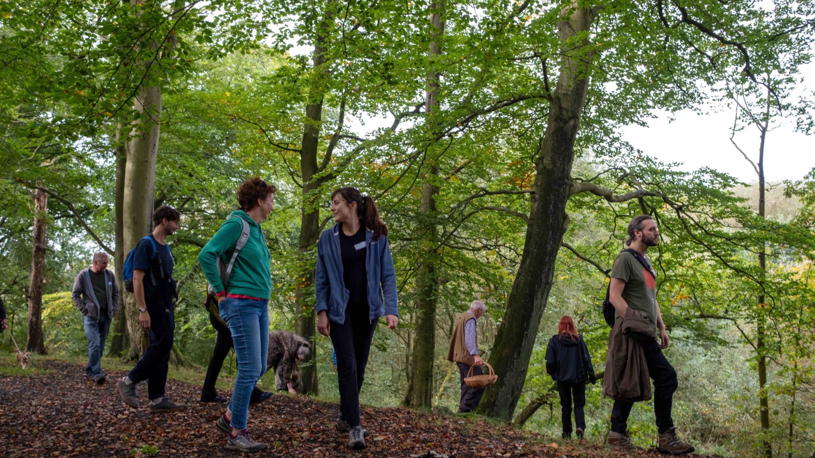 Several people are photographed walking through the woods, it is early autumn and the trees are full of leaves.