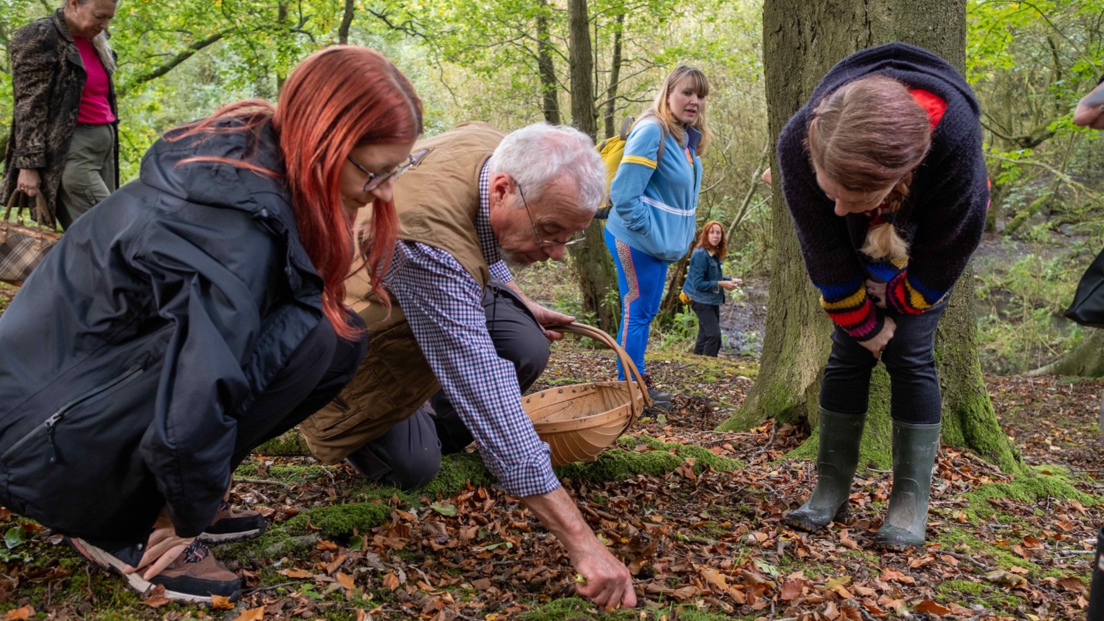 A group of people are wandering through the forest foraging for mushrooms, mushroom expert Tom Ferguson holds a basket in one hand.