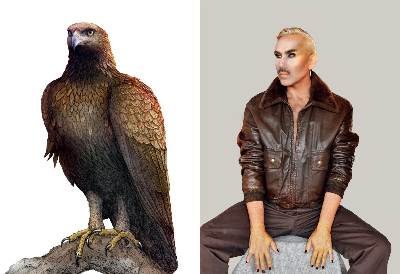 Paul Harfleet dressed up as a golden eagle, he wears brown trousers and a brown leather jacket. His hands are dusted in gold as are his cheekbones. He has Dark smoky eyeshadow on and blonde slicked back hair. Next to him is a detailed illustration of a Golden Eagle.