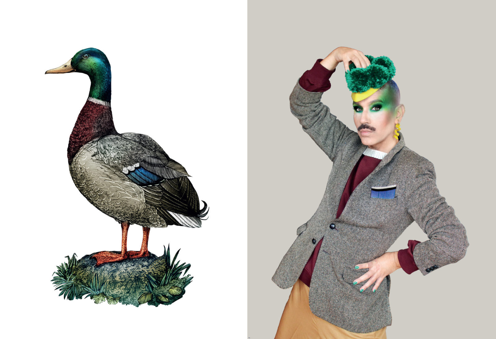 Paul Harfleet is photographed dressed up as a Mallard. He wears a tweed jacket with a blue pocket square and a green head piece. His eyeshadow is emerald green and spreads up to his temples. Next to him is a detailed illustration of a mallard.