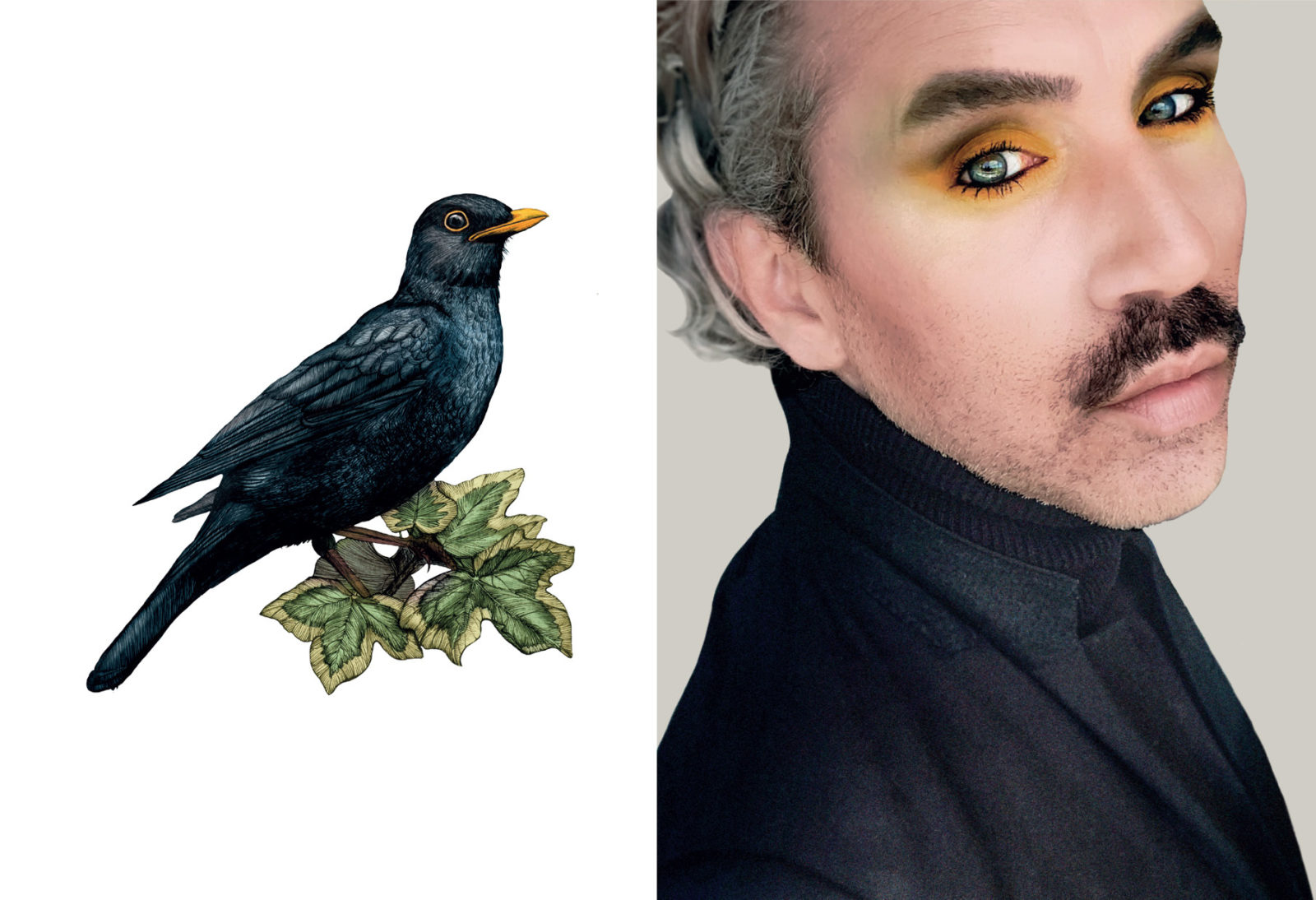 Paul Harfleet is photographed dressed up as a Blackbird. He wears a black polar neck jumper and a black blazer. His hair is medium length, grey and Curley and is slicked back out of his face. His eye shadow is orange. Next to him is a detailed illustration of a Blackbird.