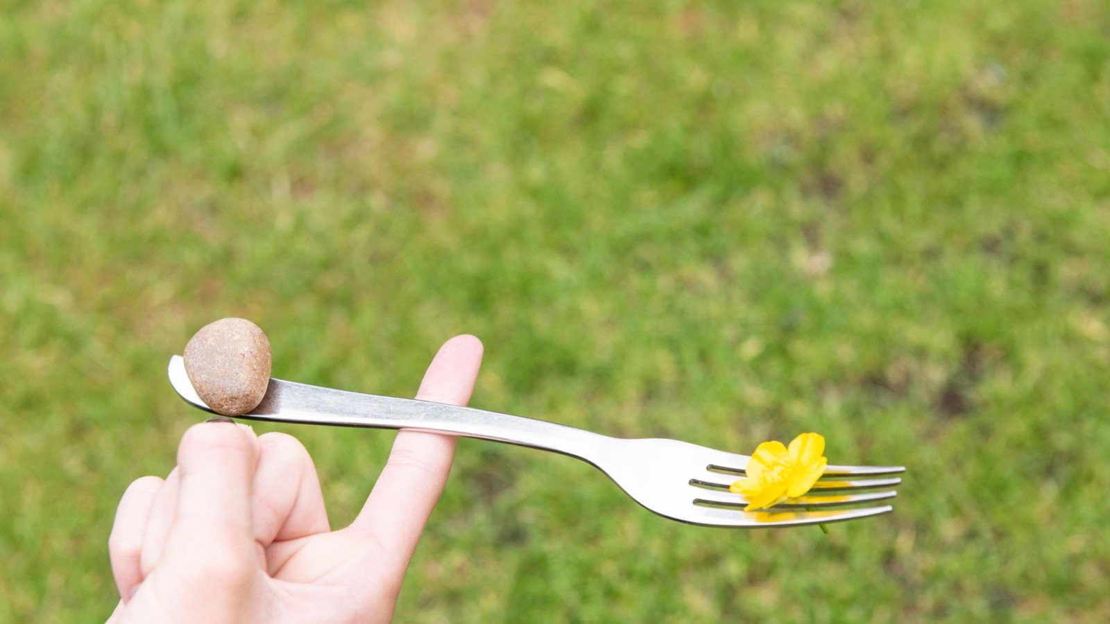 A silver fork balances on the forefinger of an upturned hand. At one end of the fork is a stone and at the prong end is a yellow flower.