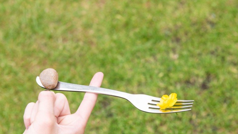 A silver fork balances on the forefinger of an upturned hand. At one end of the fork is a stone and at the prong end is a yellow flower.