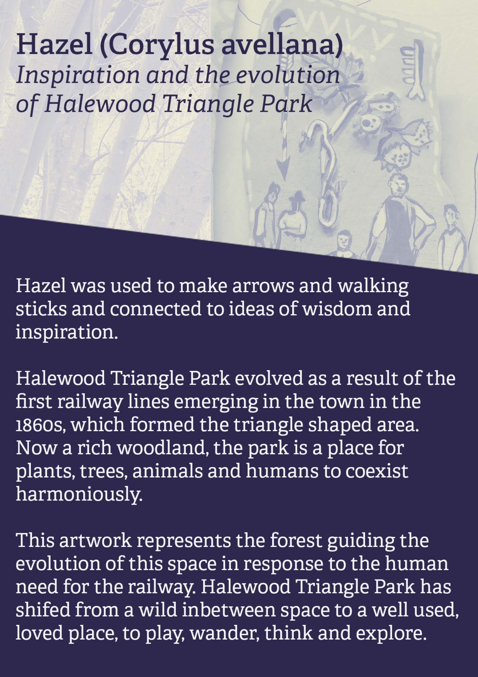 an information card for the hazel tree artwork