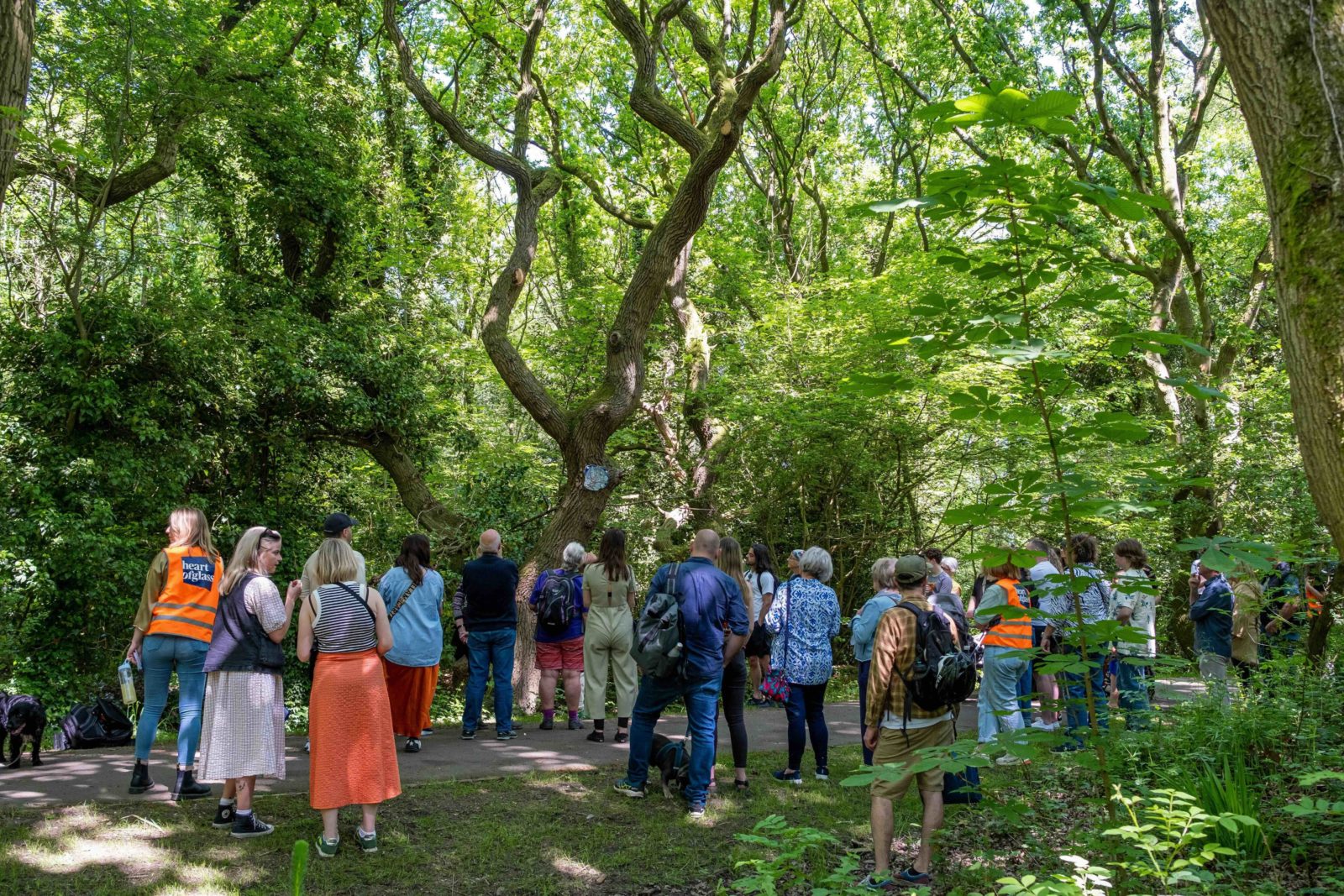 A group of people stand surrounding a tree in Halewood park looking up at the artwork.