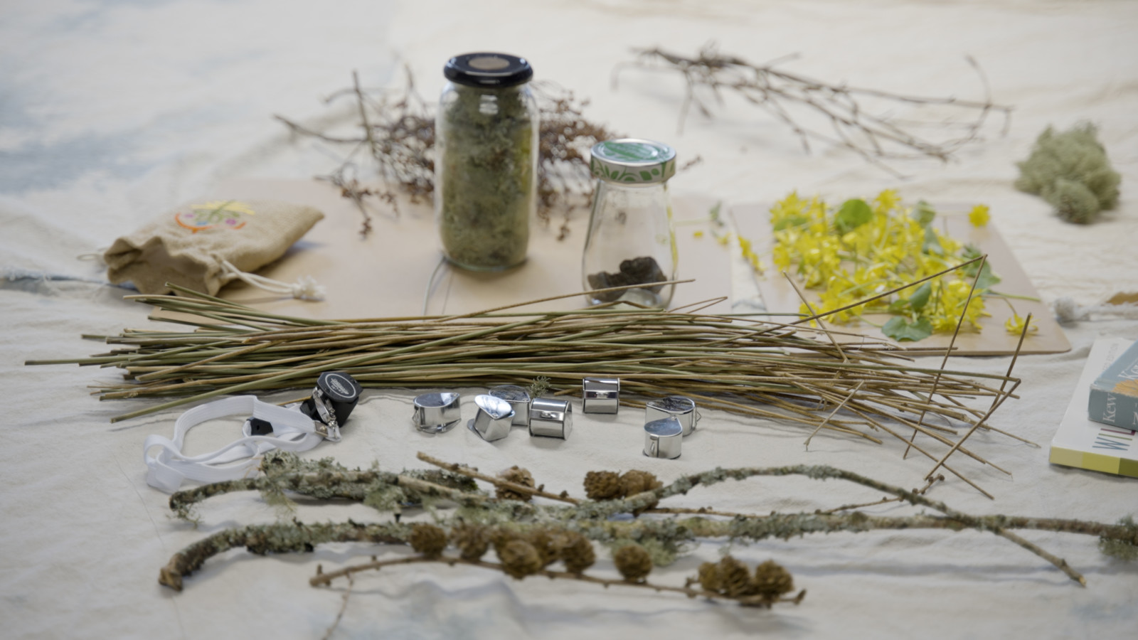 A photograph of branches and other foraged things on a table ready to be used for crafts.