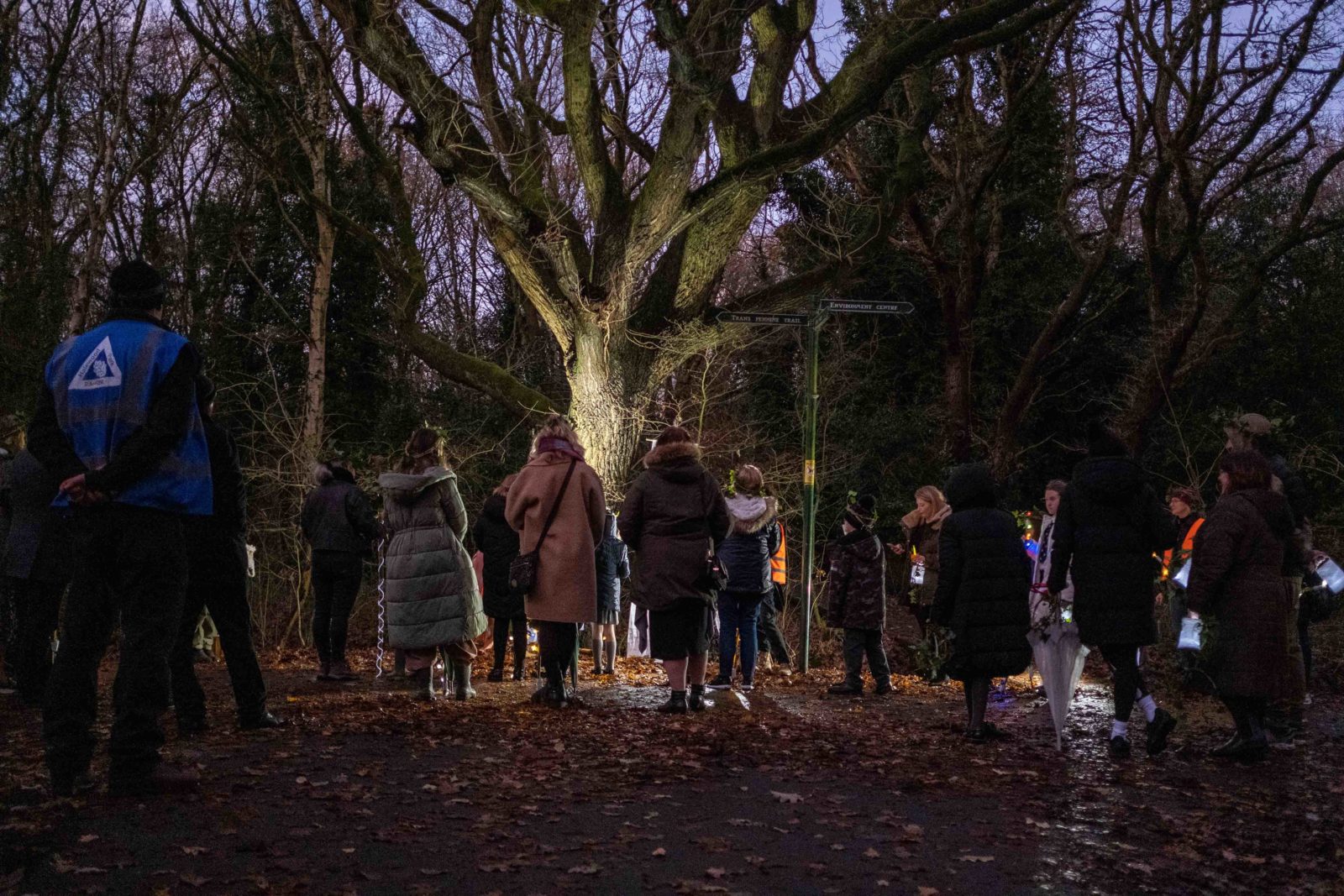 People stood around a tree, there is a warm light at the base of the tree.