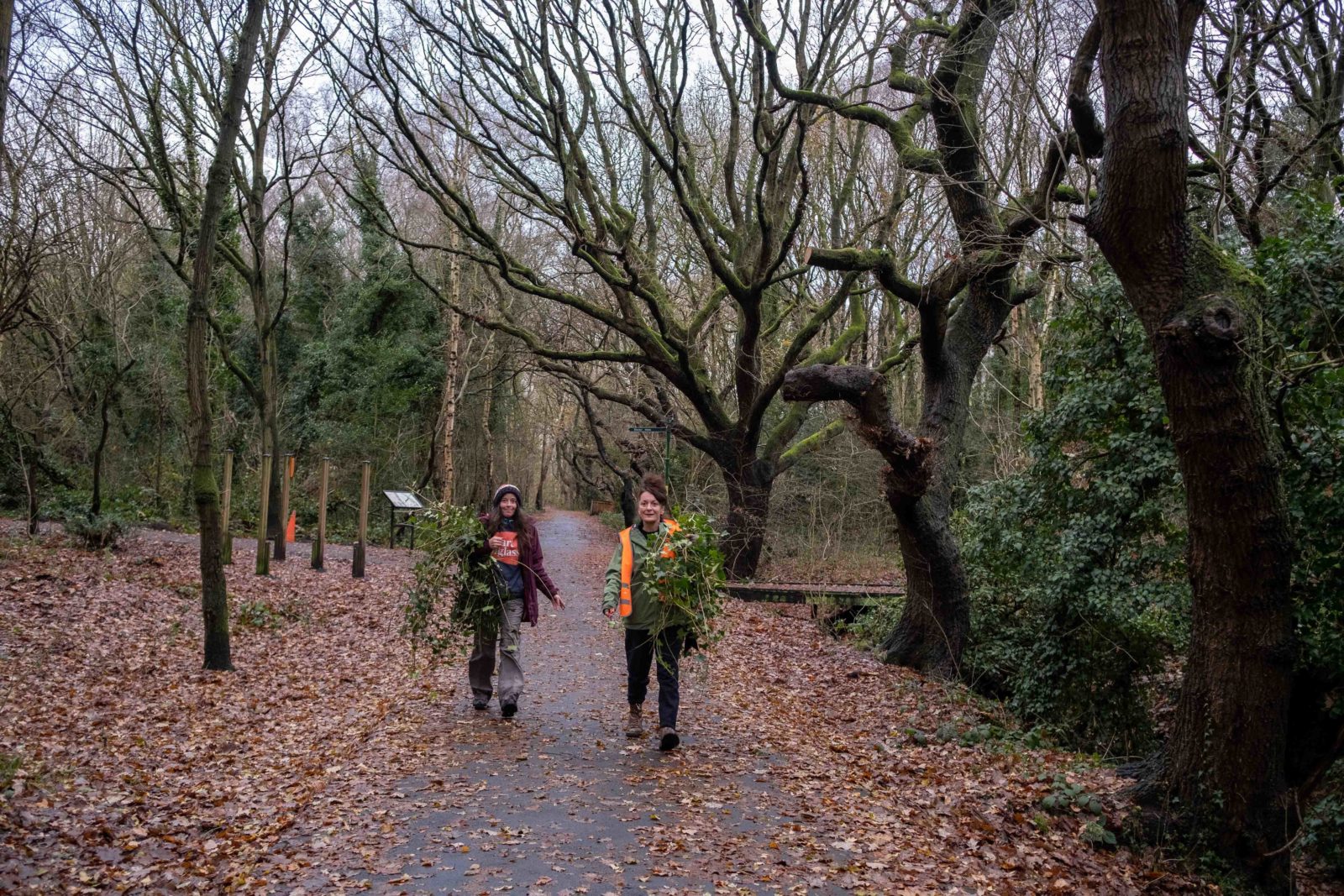 Two people carrying branches of leaves through the park, one is wearing a heart of glass jumper and the other a high visibility vest.