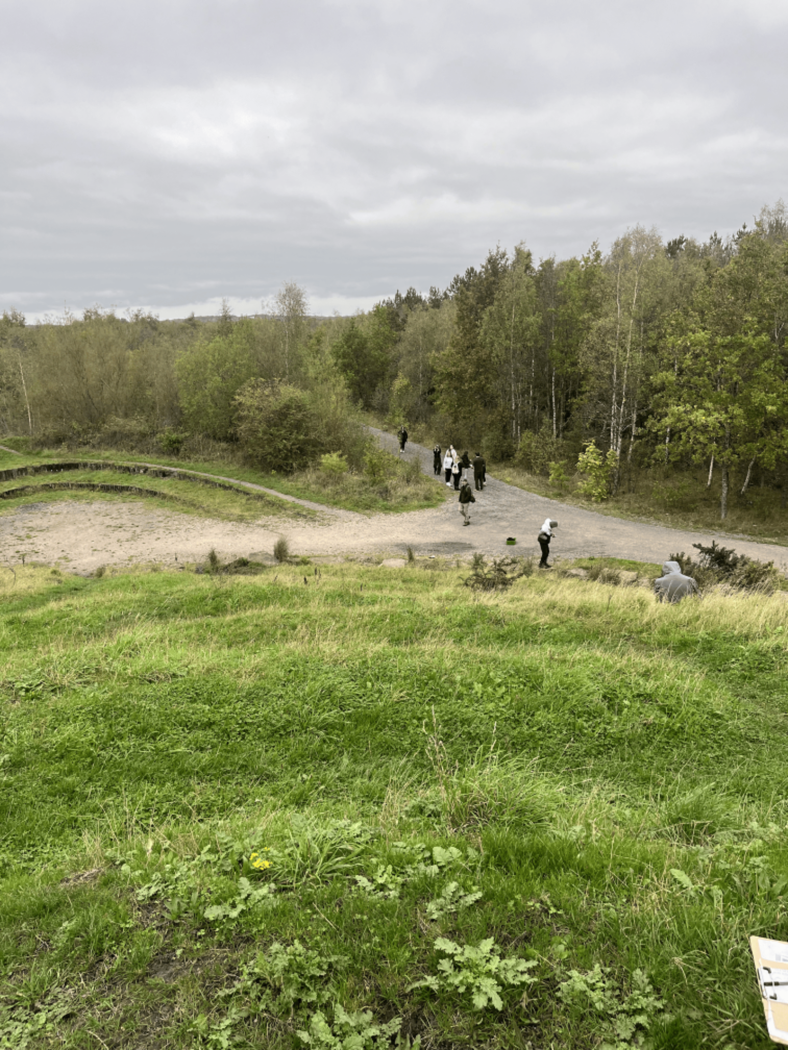 A gravel path winds through some grassland and towards a forest. A group of people are walking down the path in the distance.