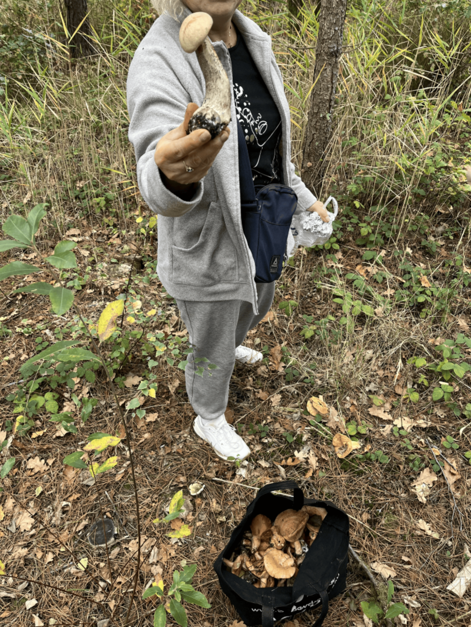 A person in a grey tracksuit stands in a woodland. They have a black carrier bag full of wild mushrooms in front of them and are holding a larger white mushroom out to the camera.