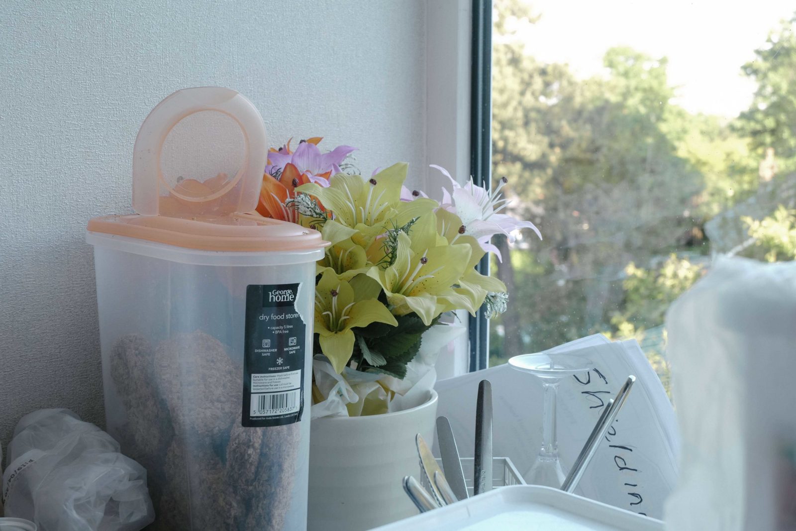 In the bright light of a window stand a plant and a food storage box with cereal.