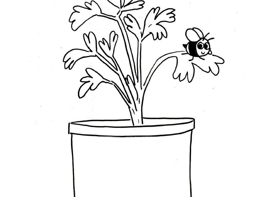 Black and White line Illustration of a plant pot with leaves growing out of it and a bee resting on one of the leaves. It reads 'Get Growing! By Cath Garvey'.