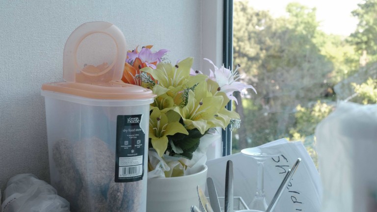 In the bright light of a window stand a plant and a food storage box with cereal.