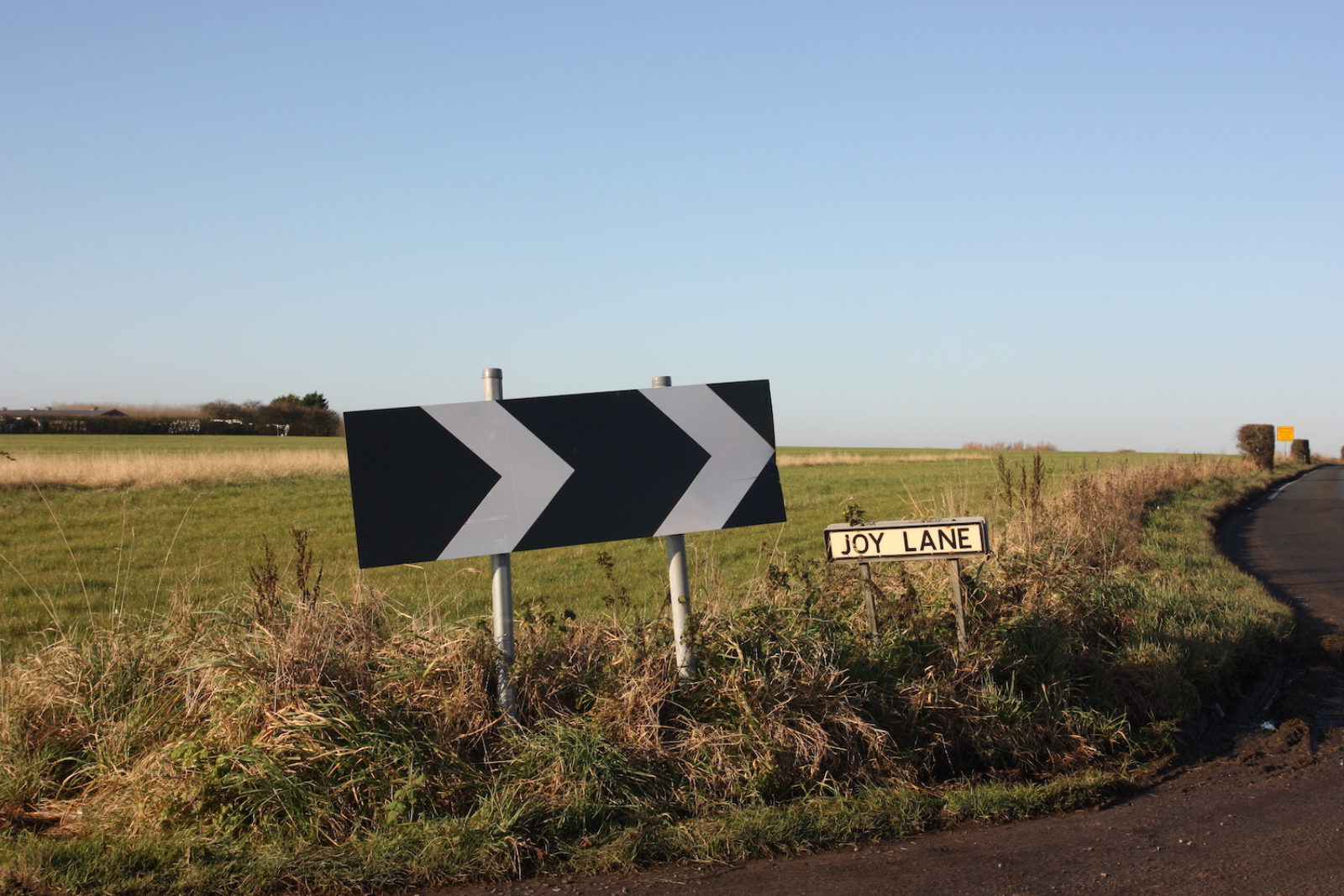 Joy Lane sign is on a country lane next to a sign with black and white arrows.