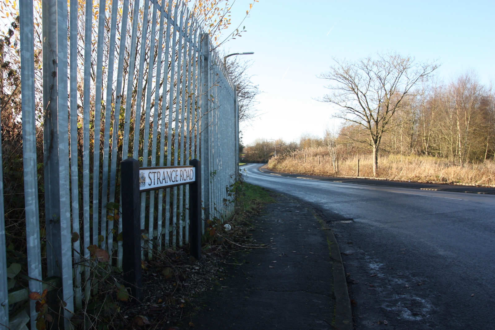 Strange Road sign is in front of tall silver railings and next to a winding road with no buildings on it.