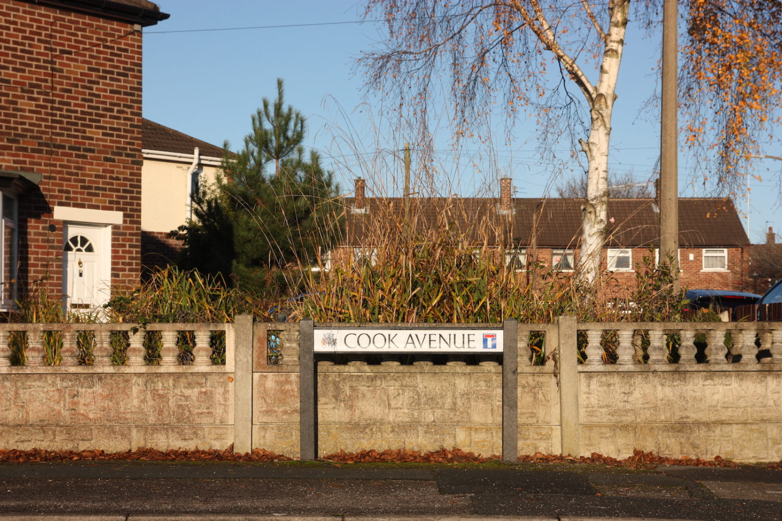 Cook avenue sign is in front of a short grey stone wall and several red brick houses.
