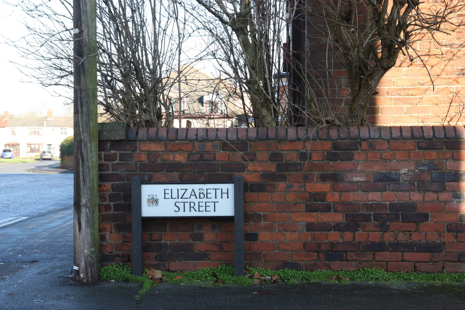 Elizabeth Street sign sits in front of a half brick wall with bare trees behind it next to a wooden post. The road looks frosty in the background