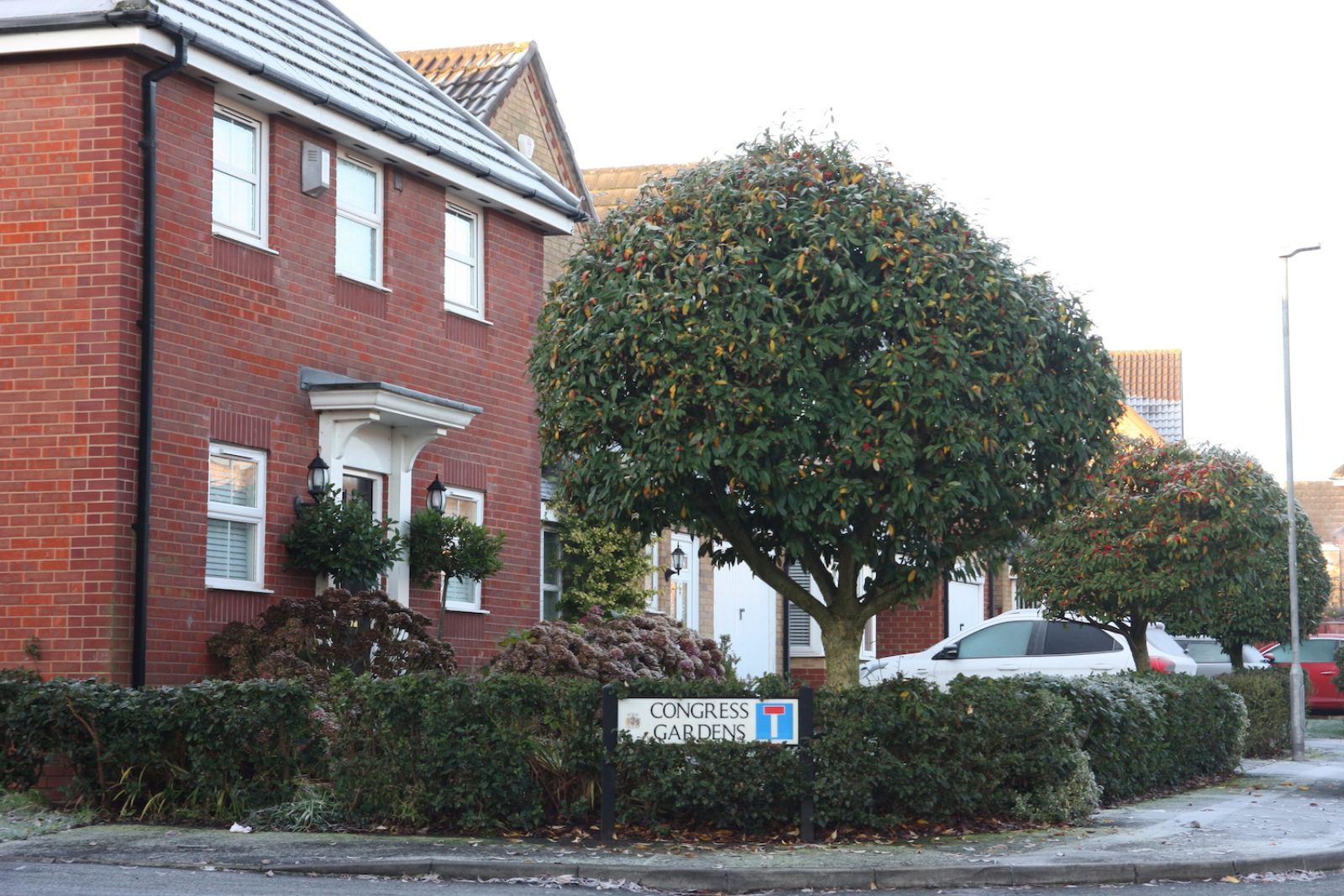 Congress Gardens sign is in a hedge that is almost growing over it, there is a tree and a detached new build house behind