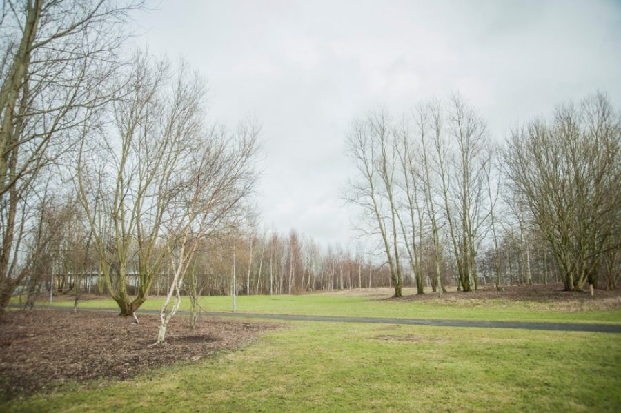 An empty park, with large areas of grass bordered by areas of bark and bare autumn trees. A tarmac path runs through the middle of the park.