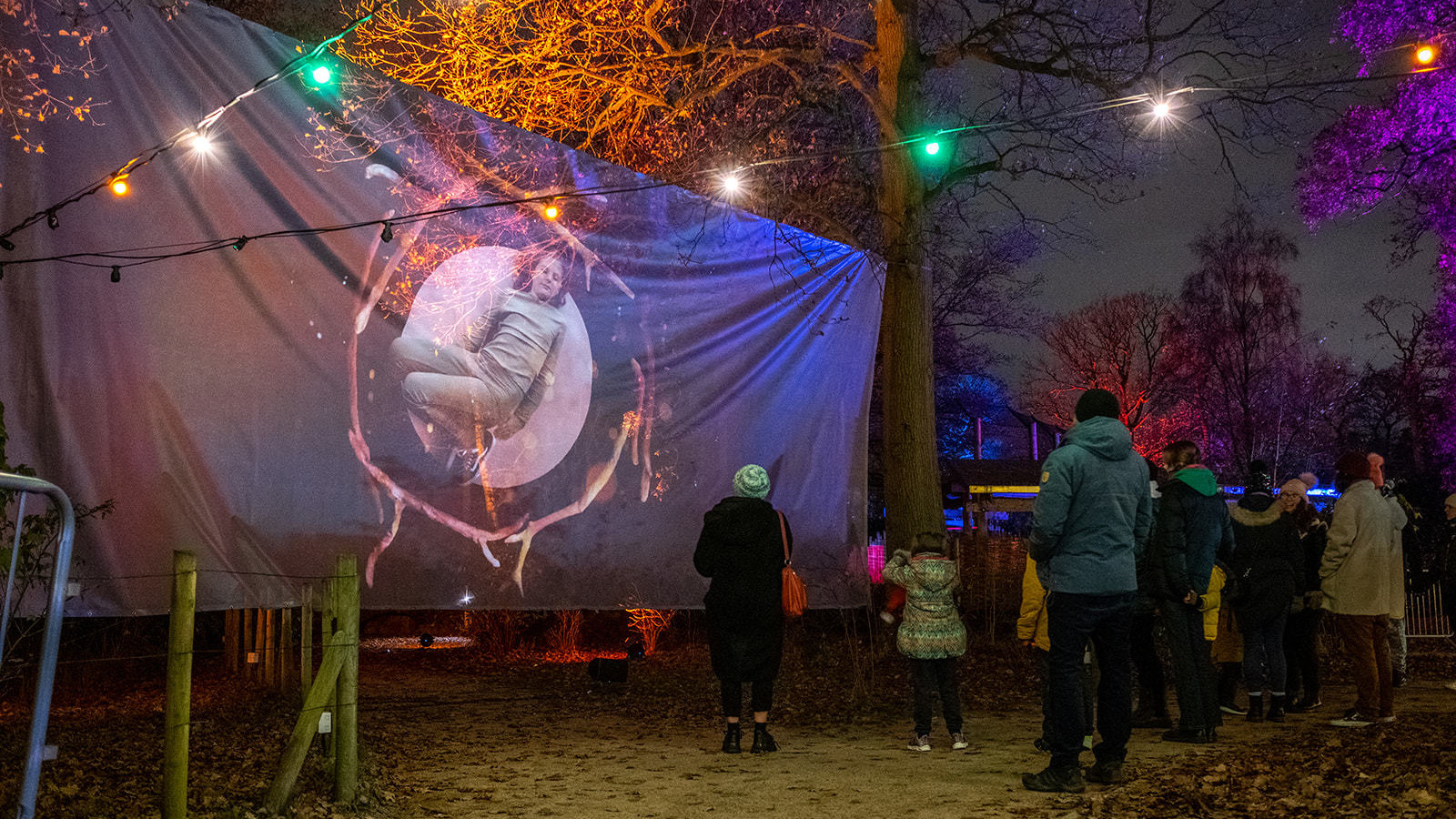 In a forest clearing a group of people are facing away from the camera looking up at an image projected on to a screen suspended between trees. They are dressed in winter clothes and there are twinkly lights all around.