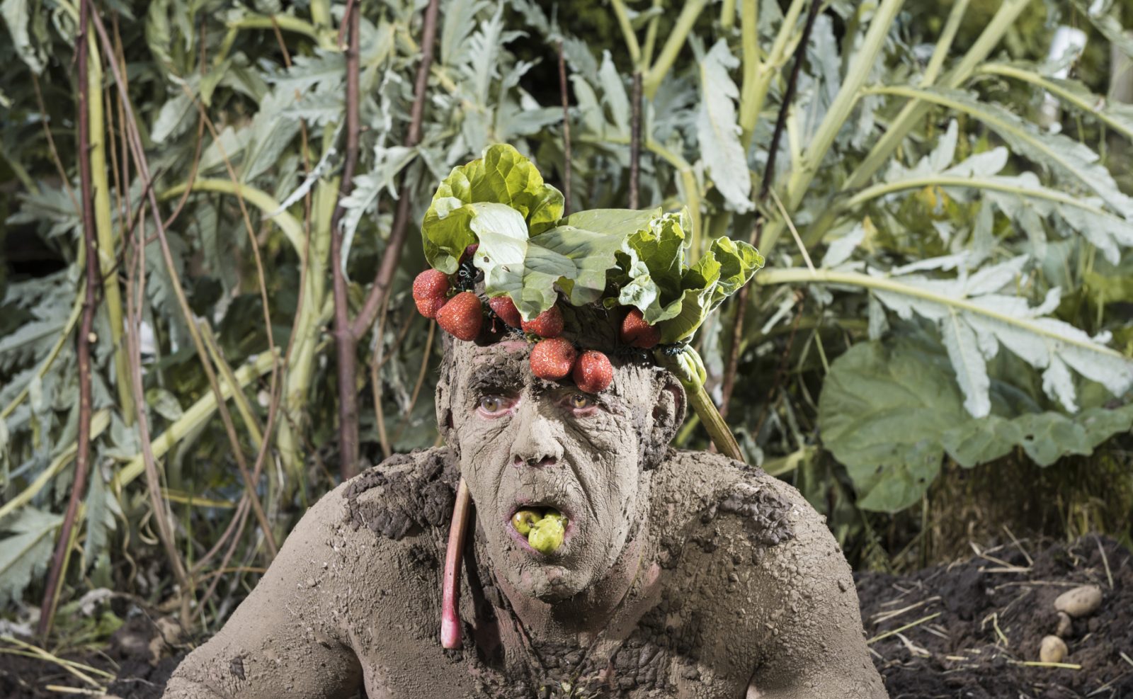 A man covered in soil and wearing a crown of strawberries is climbing out of the ground. He is surrounded by soil, potatoes and vegetables growing in the ground. He is holding beetroot in one hand, and has green tomatoes in his mouth.