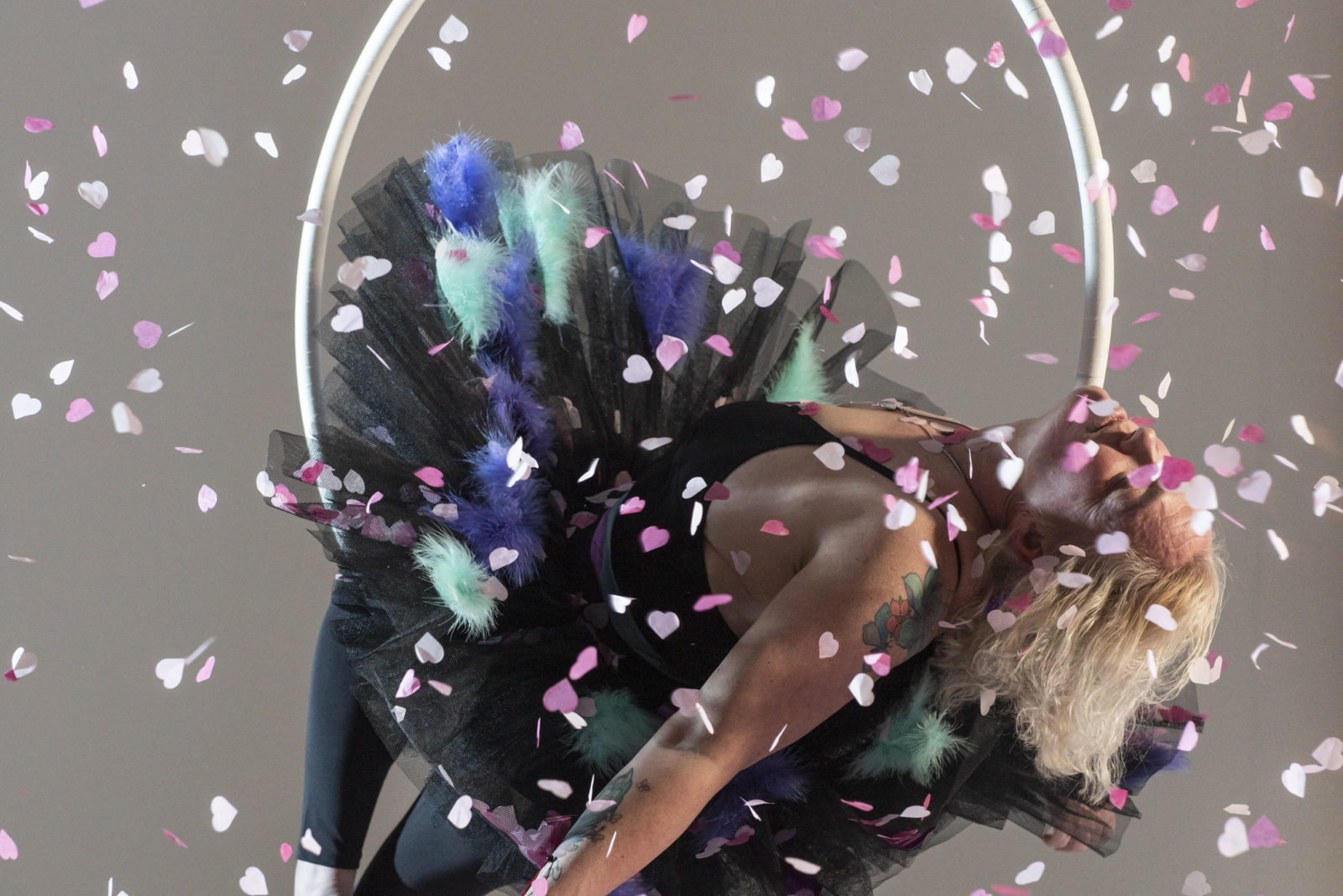 Against a grey background a person in a black leotard and a black and blue tutu hangs in a large aerial hoop which is attached to white rope. Pink and white confetti falls around her.