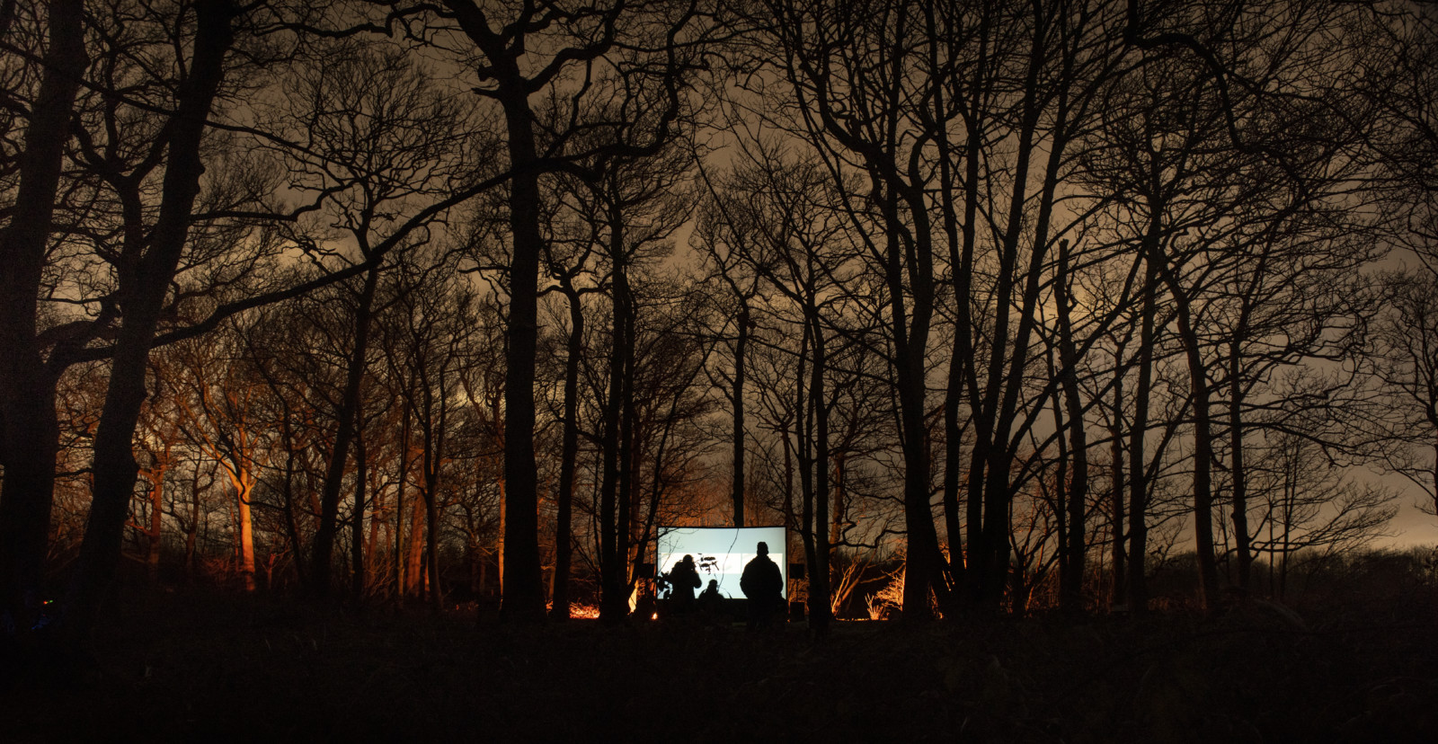 A large projection screen sits amongst winter forest at dusk. The screen reflects a bright white image, turning its small audience into black silhouettes.