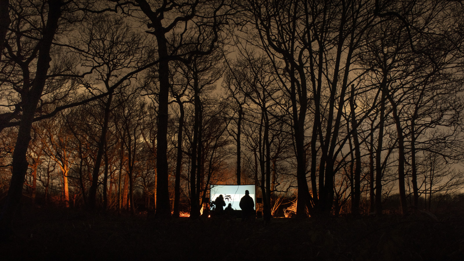 A large projection screen sits amongst winter forest at dusk. The screen reflects a bright white image, turning its small audience into black silhouettes.