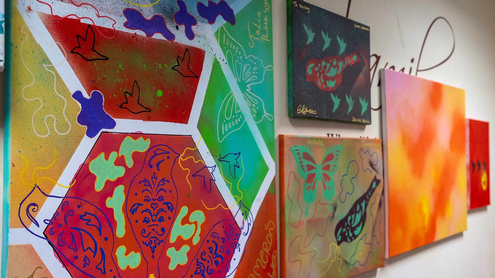 A collection of spray painted canvases of different sizes hang on a wall. On the canvases are outlines of butterflies, birds and masses of colour.