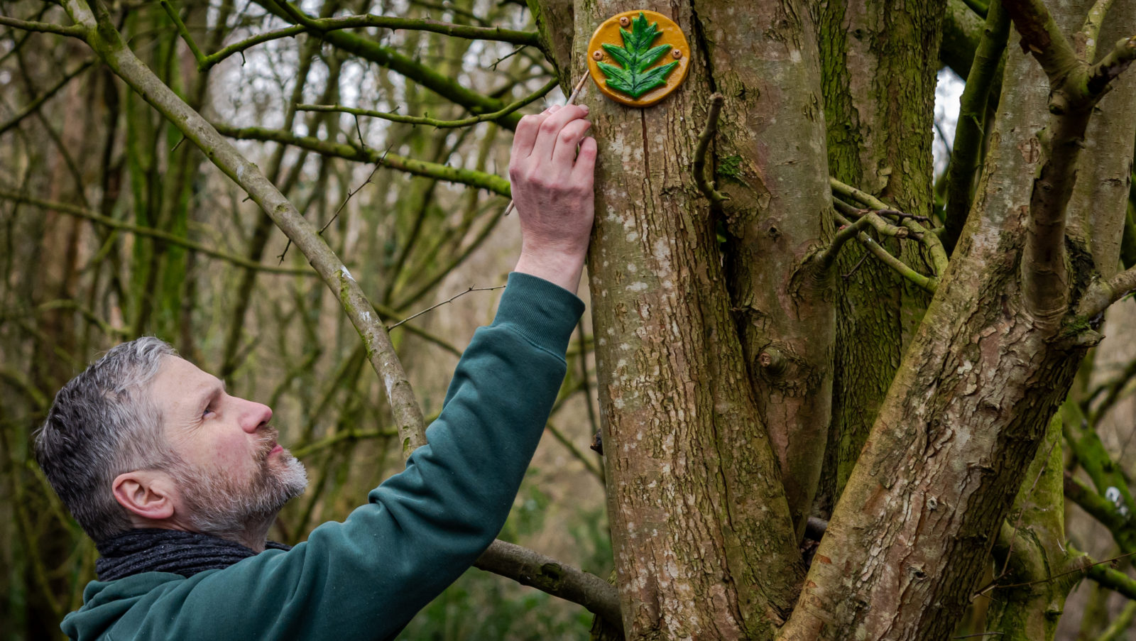 Photograph of a man painting a small tile featuring a leaf. The tile is attached to a tree