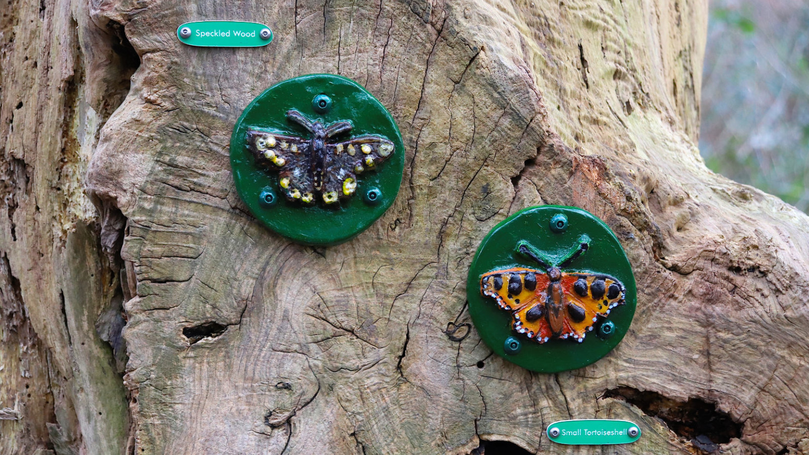 Photograph of two ceramic tiles featuring butterflies, attached to a tree stump. The tiles are handmade and hand painted