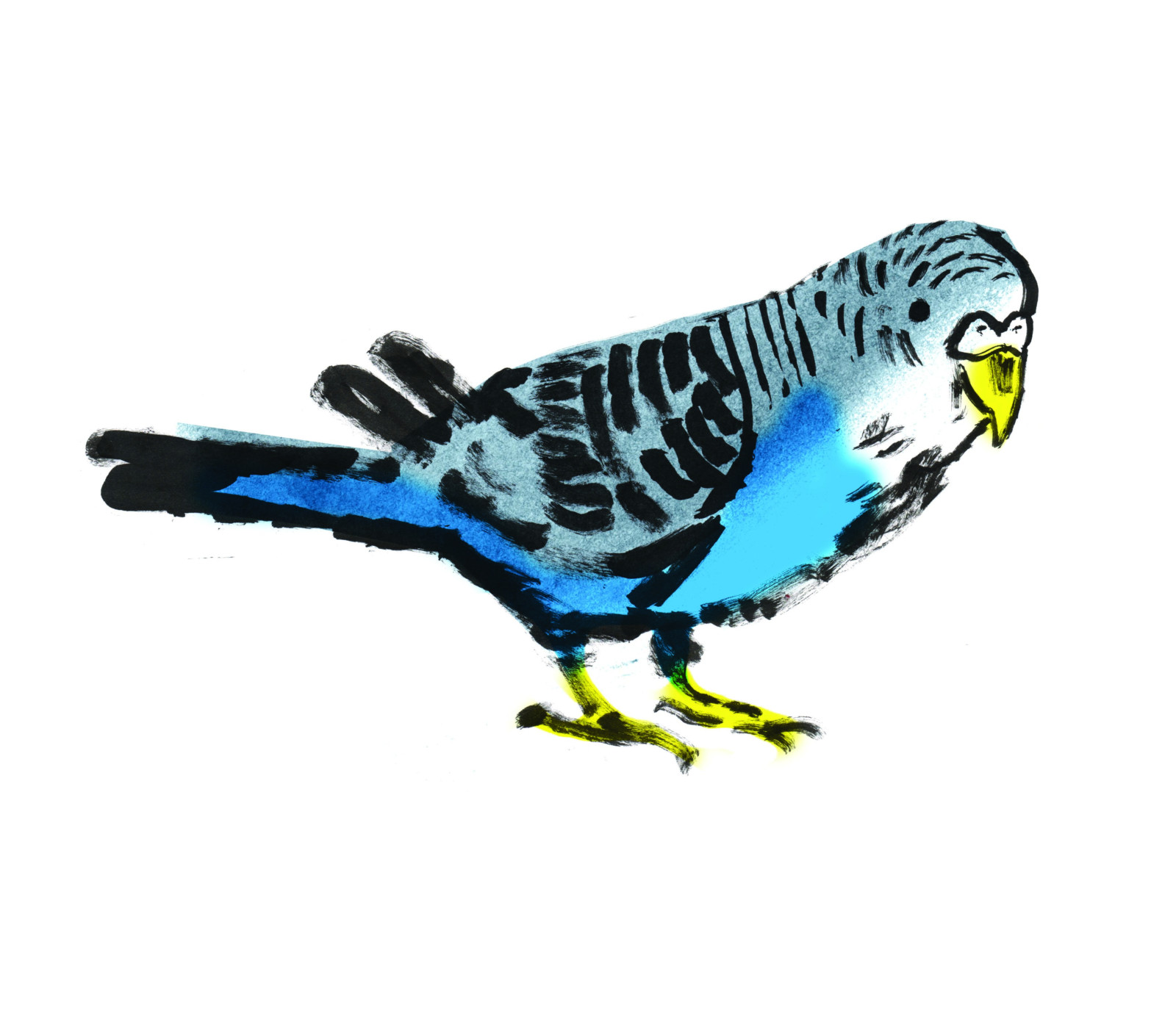 A painting of a blue budgie.