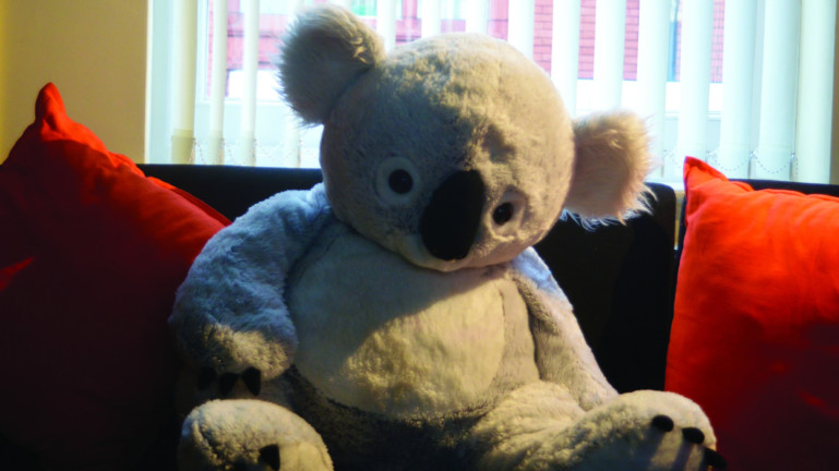 A koala teddy sits on a sofa with red cushions.