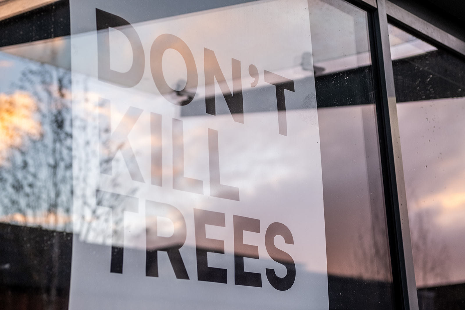 Poster reading 'Don't kill trees' in shop window