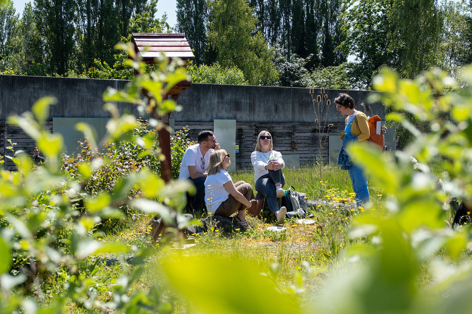 People are photographed from behind the greenery in Incredible Edible, having a thoughtful conversation.