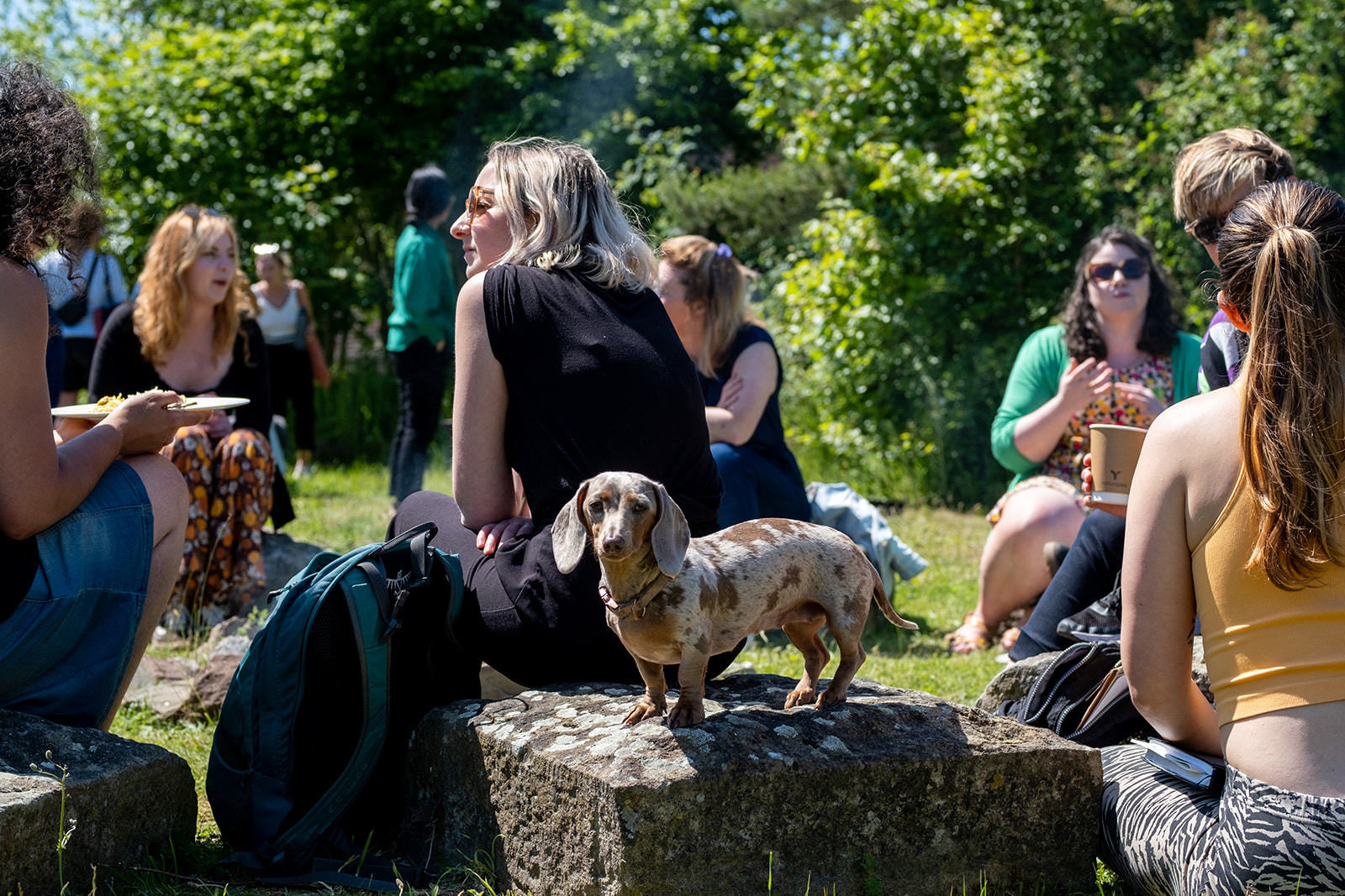 People are having conversations sat out in the sun at Incredible Edible whilst eating food. A sausage dog is stood on one of the stones behind a woman's back, looking at the camera.