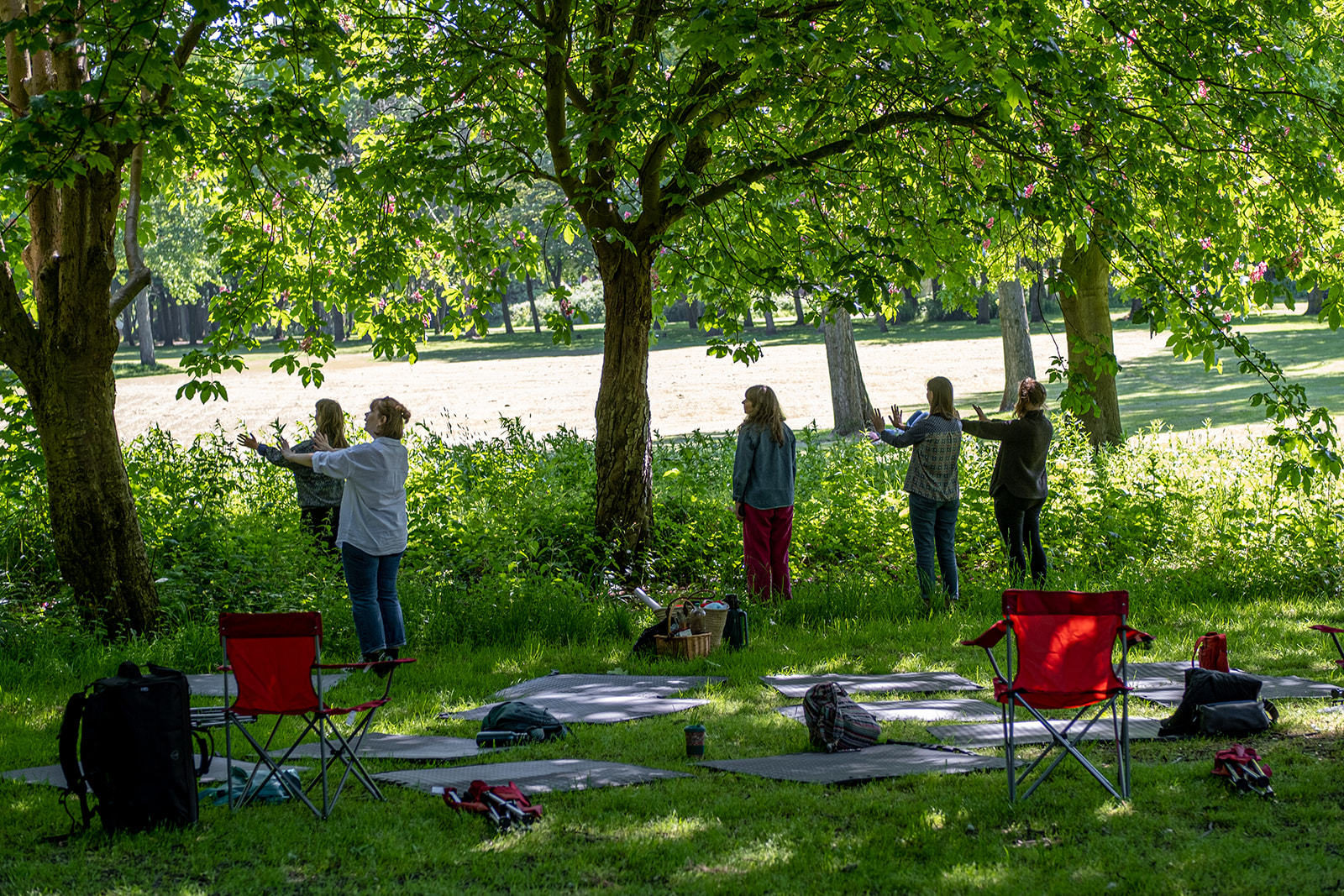 5 people stand in a line facing trees, they have their palms stretched in front of them facing the trees. Behind them are mats and camp chairs laid out on the grass. It is a sunny day.