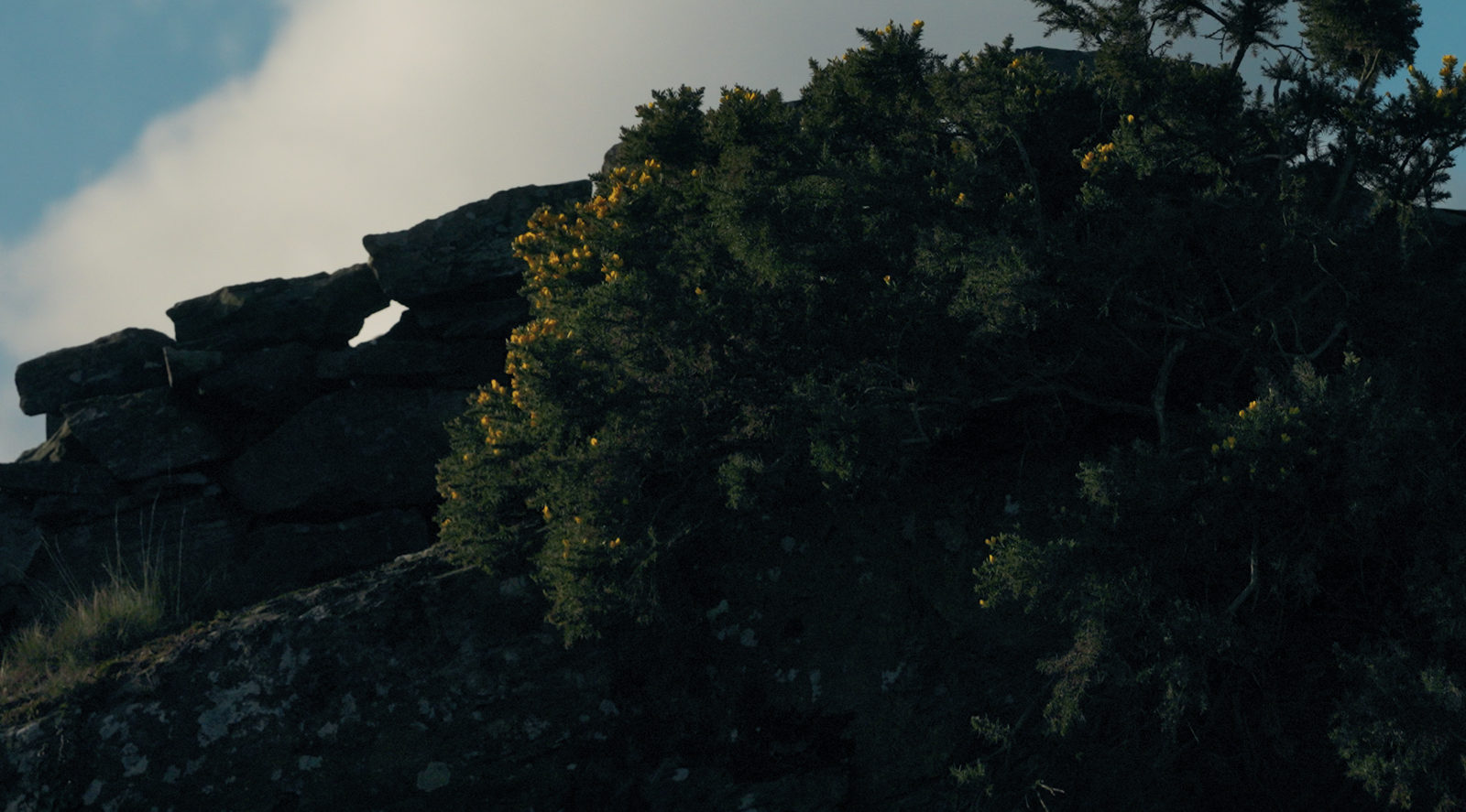 Photograph of a rocky landscape with stones and trees in silhouette