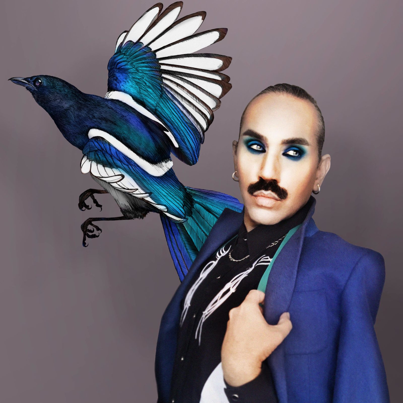 Paul Harfleet is dressed up as a Magpie, wearing a royal blue blazer and black smokey eye shadow with blue accents, his hair is slicked back and there is a detailed illustration of the bird behind him.