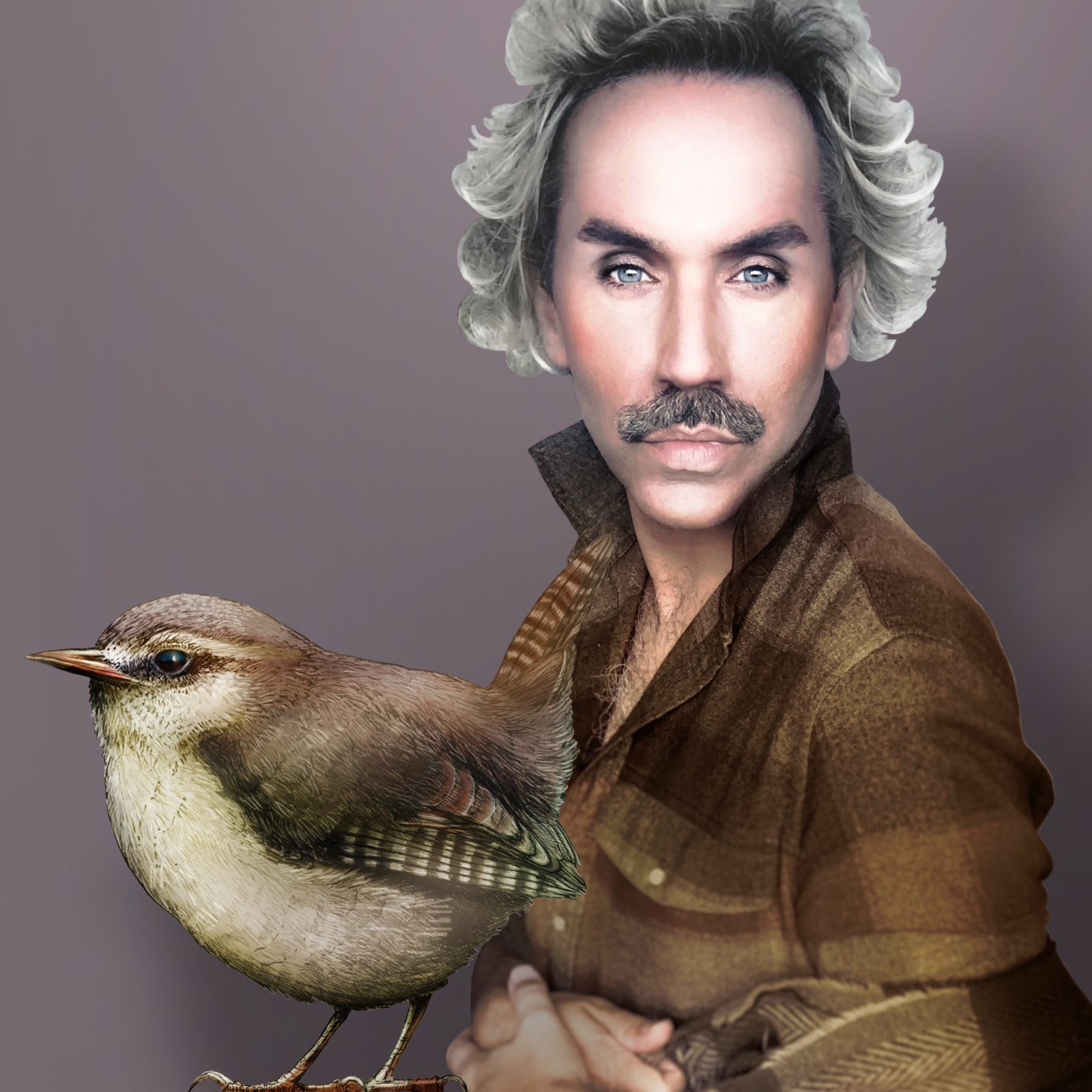 Paul Harfleet is Dressed up as a Wren, he has grey hair and grey smokey eyeshadow, and is wearing a brown checkered shirt. In front of him is a detailed illustration of the bird.